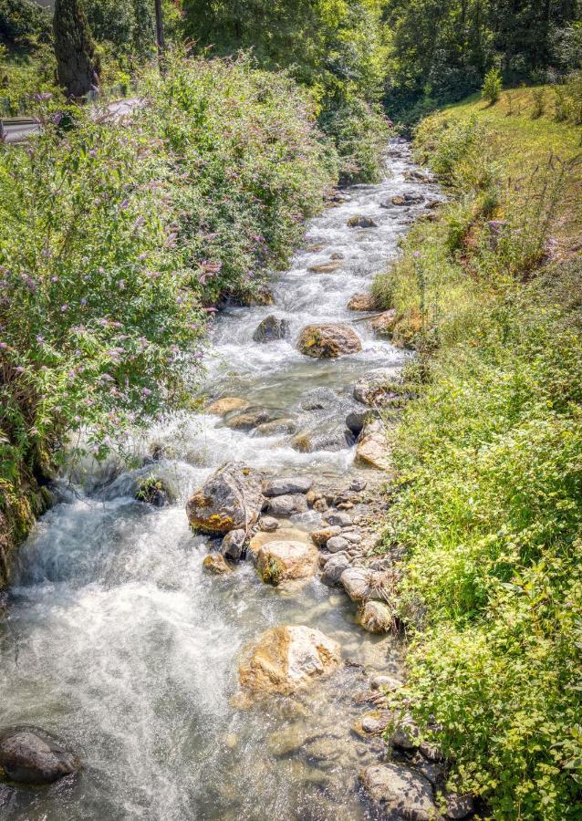 Le Chalet Des Eaux - Thermes - Ski Revel  Dış mekan fotoğraf